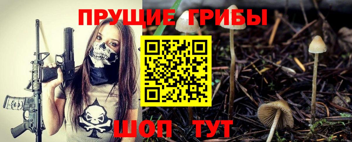 Топки  Псилоцибиновые грибы Psilocybe  Вход с VPN 